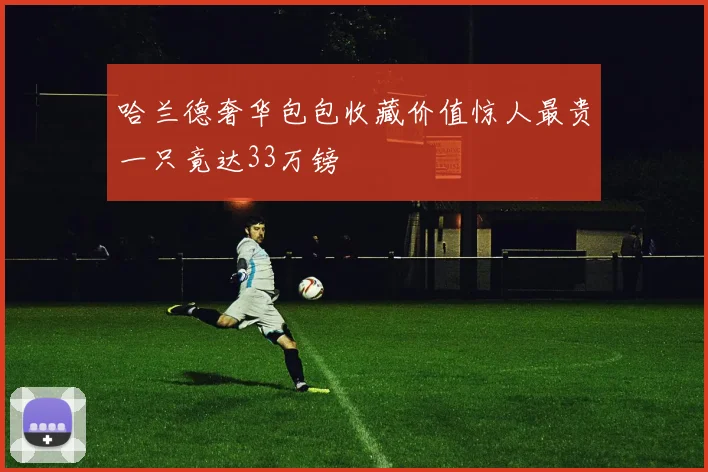 哈兰德奢华包包收藏价值惊人最贵一只竟达33万镑